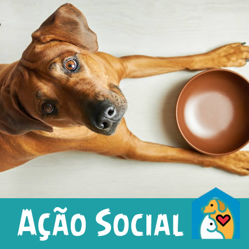 Ajude a causa animal