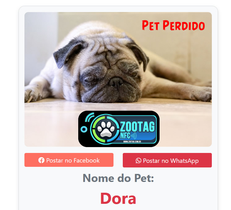 Sistema de Fanpage Zootag