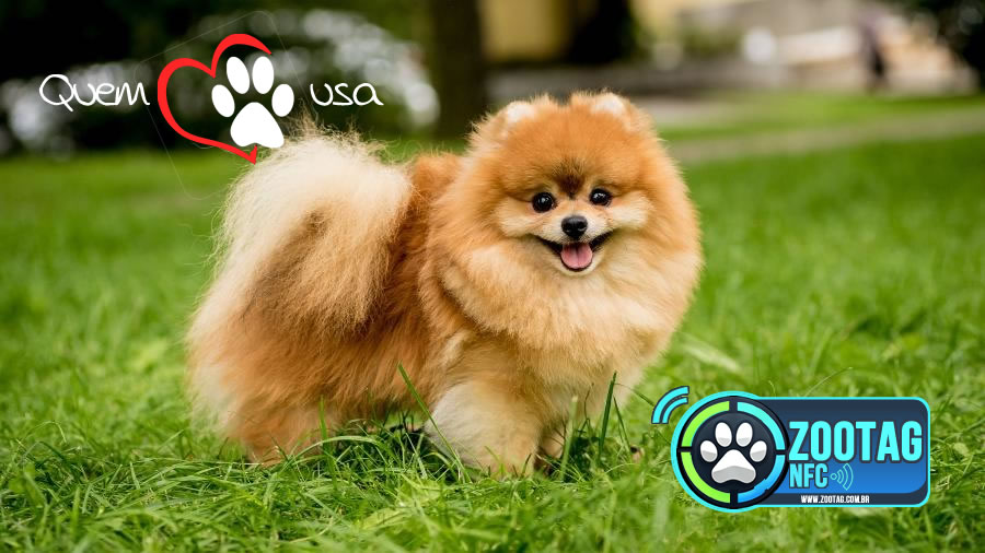 Ciminos Informática