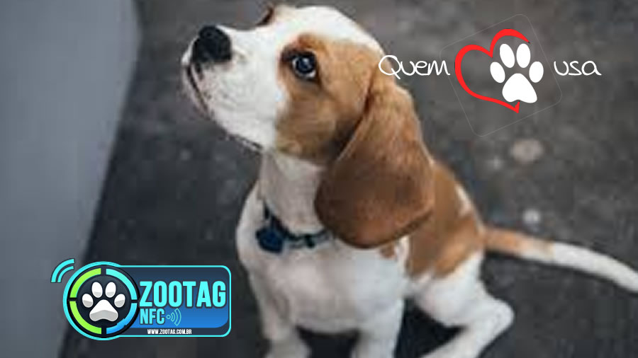 Ciminos Informática