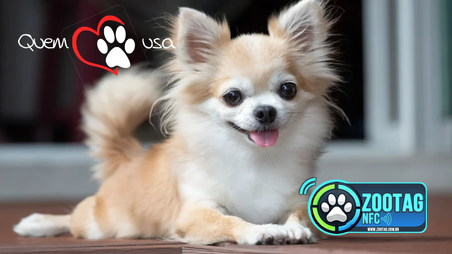 Ciminos Informática