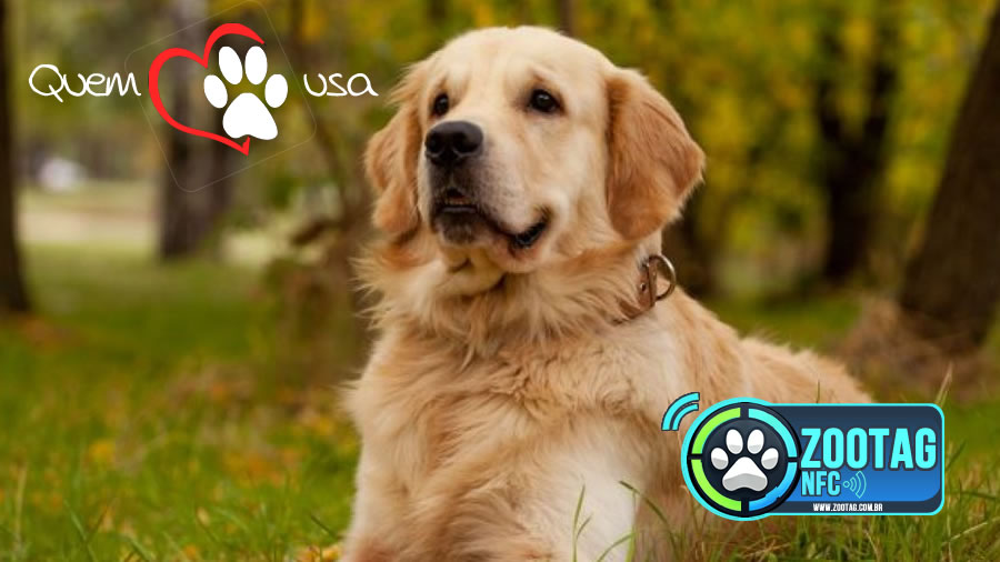 Ciminos Informática