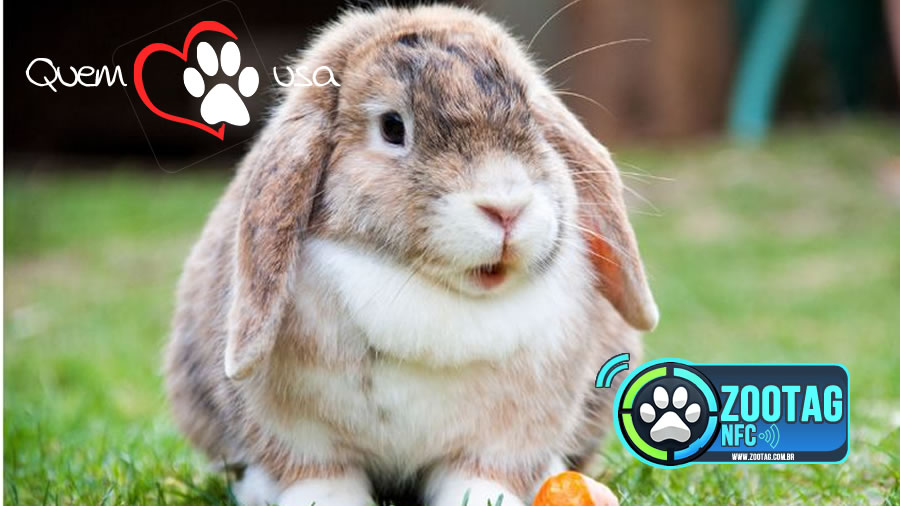 Ciminos Informática