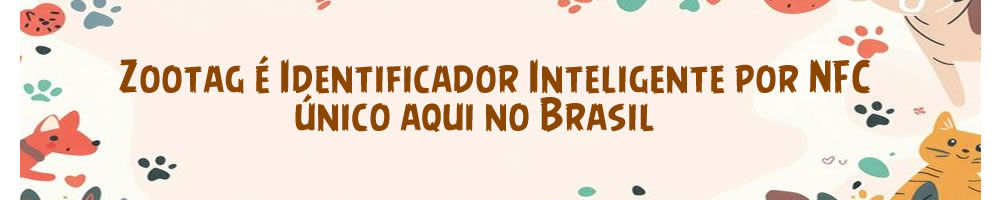 Promoção Especial 1